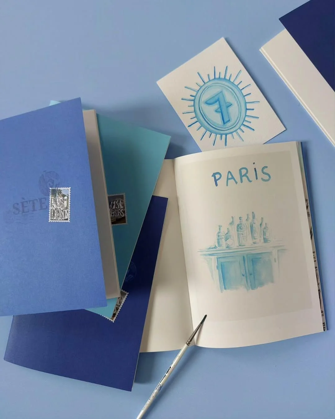 Benjamin Biolay – Le Disque Bleu – Carnets de voyage